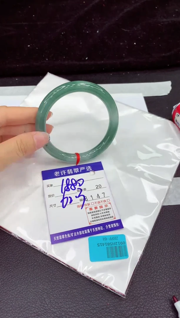 未镶嵌手镯翡翠1