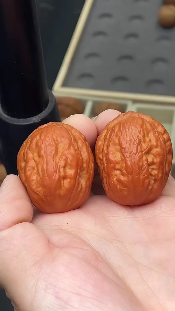 把件文玩核桃赤玉宝墩