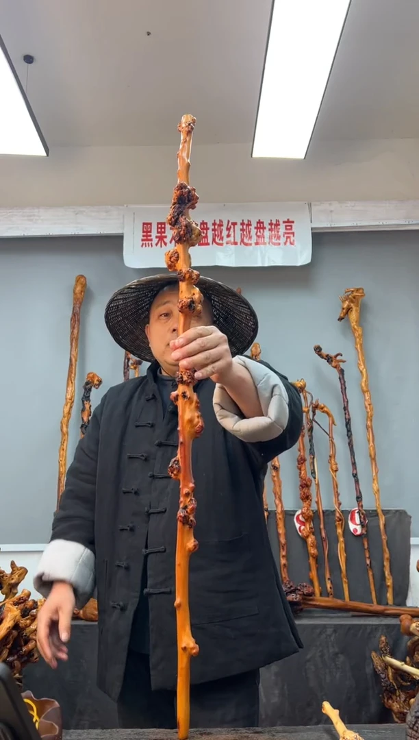【闪购商品】黑果木其他黑果木182