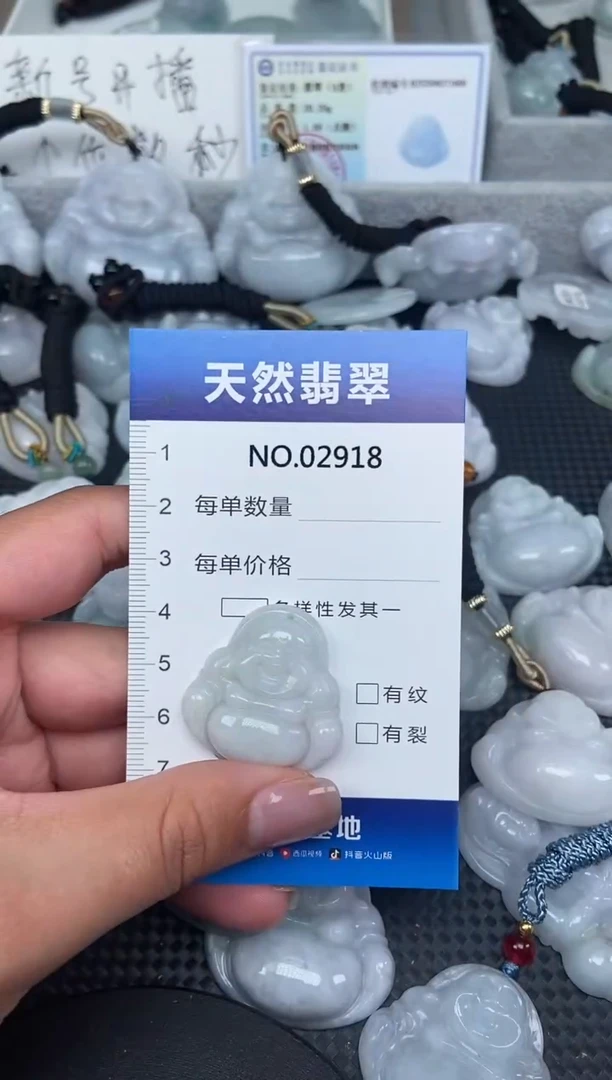 颈饰未镶嵌翡翠纯天然A货翡翠2918