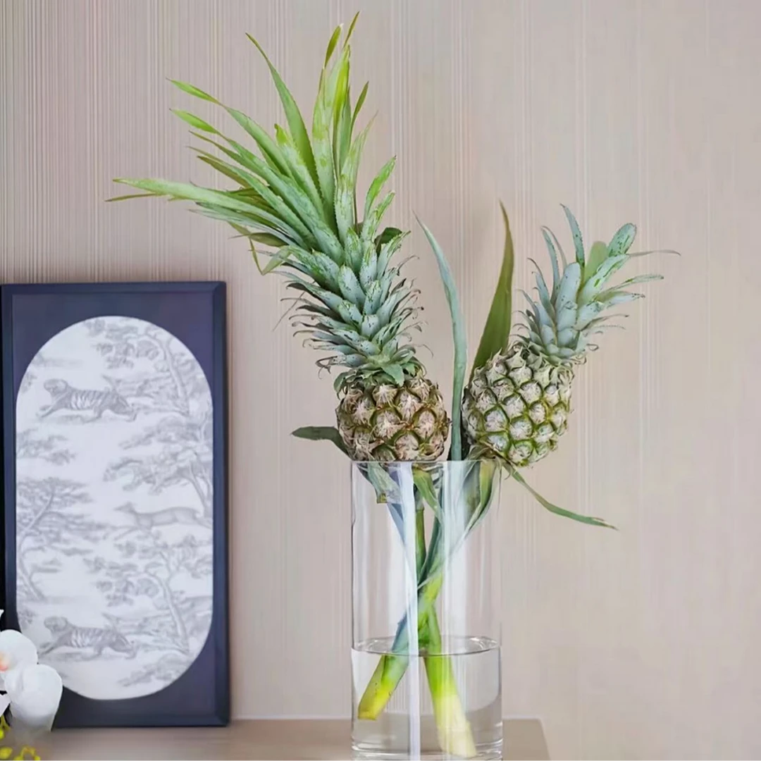 黑凤梨香水小菠萝水培鲜花动感光菠水养绿植鲜花桌面鲜切花摆件