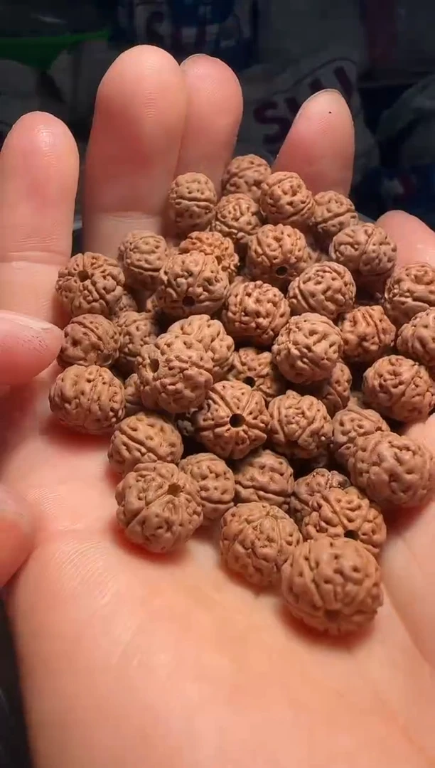 手串金刚菩提非全品老树王散籽10-11mm一份一百颗