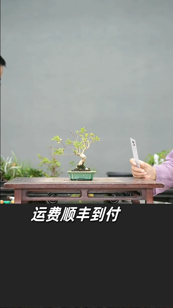 被****云45