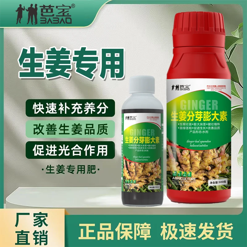 芭宝生姜分芽膨大素生姜黄姜促芽膨大增产型增收提高产量水溶肥料