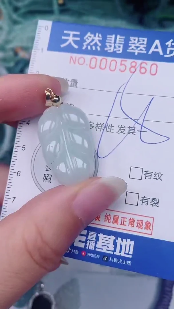 翡翠未镶嵌颈饰00005860