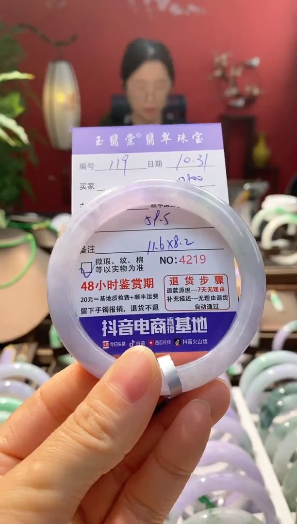 未镶嵌手镯翡翠翡翠119
