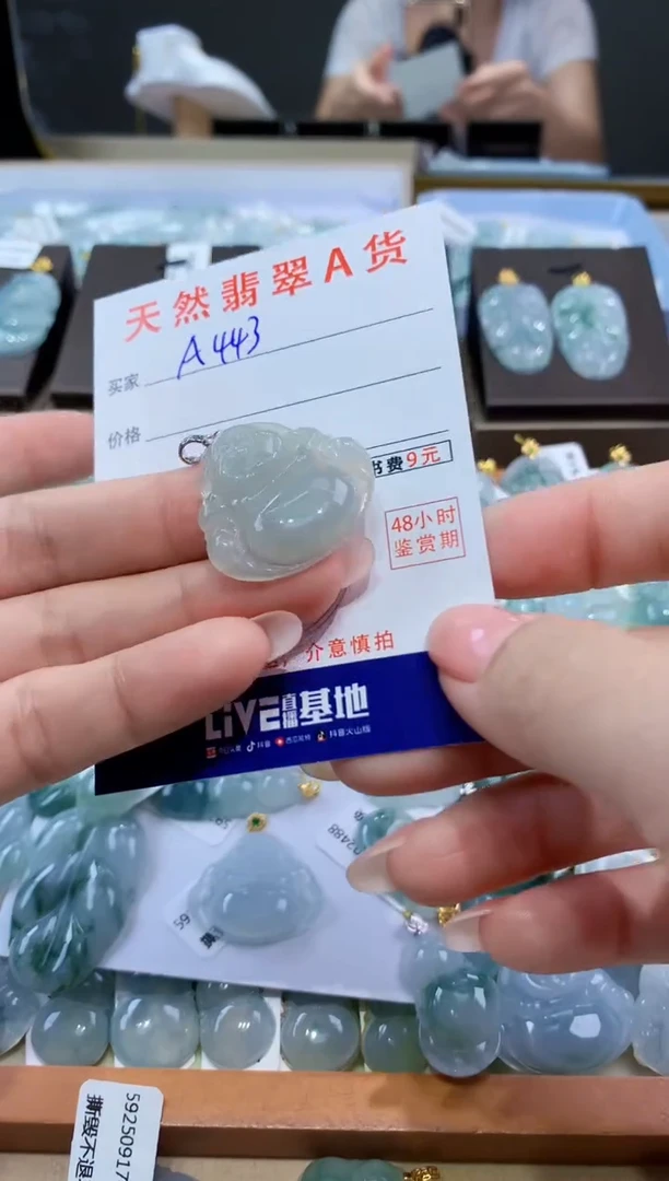 颈饰未镶嵌翡翠天然翡翠A货挂件
