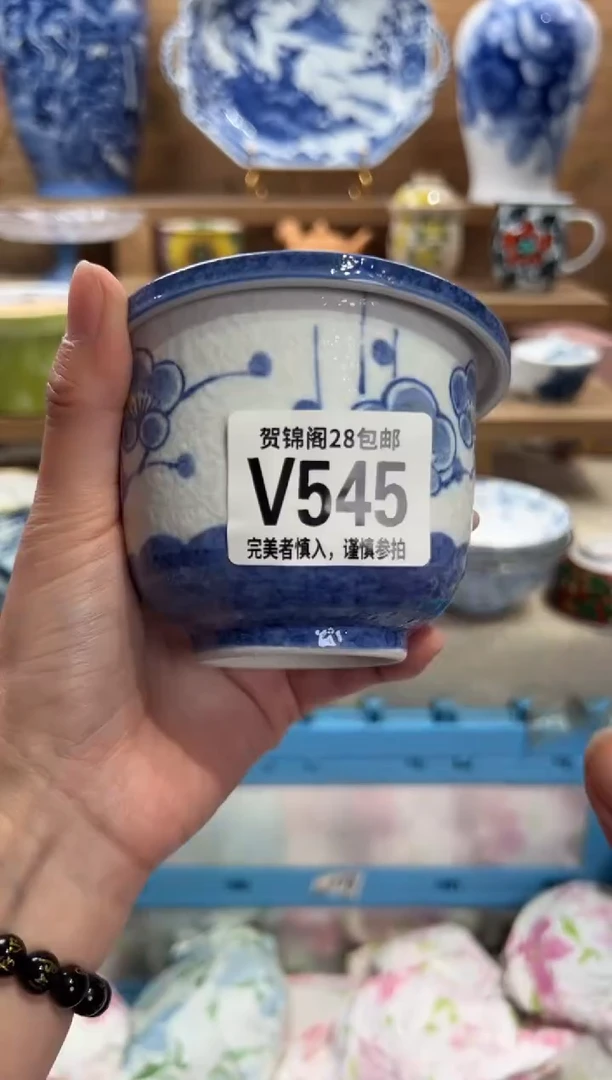 瓷片伊*     V545