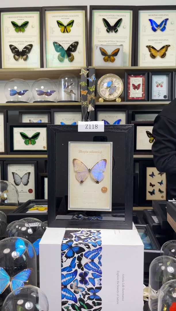 夜明珠闪蝶10寸悬浮设计款Z118