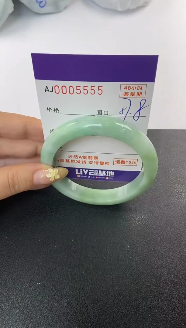 未镶嵌手镯翡翠天然A货翡翠