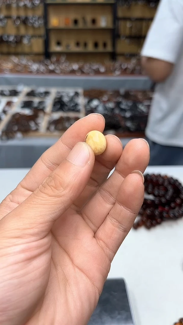 裸石琥珀未镶嵌用****5抚顺琥珀多样性发其一