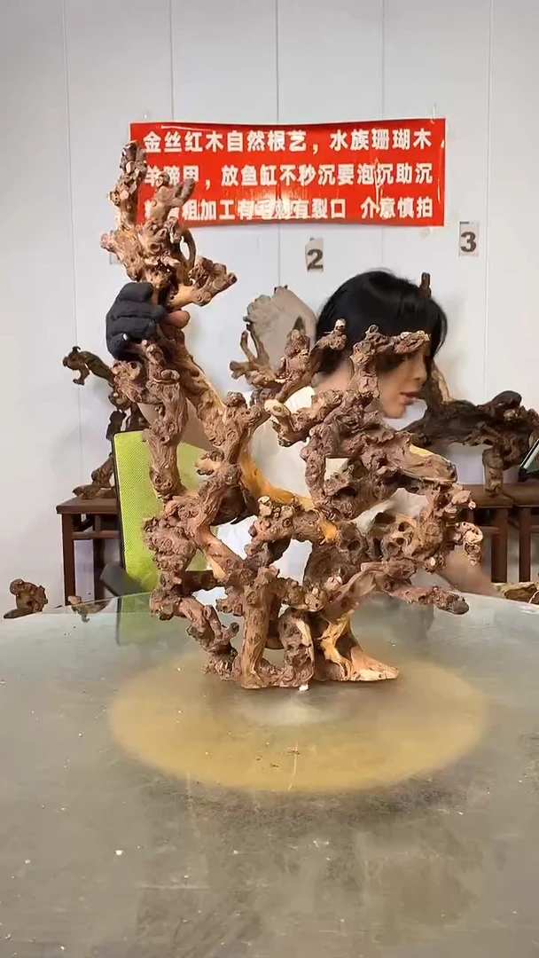 香榧木寿****社金丝红木   羊蹄甲