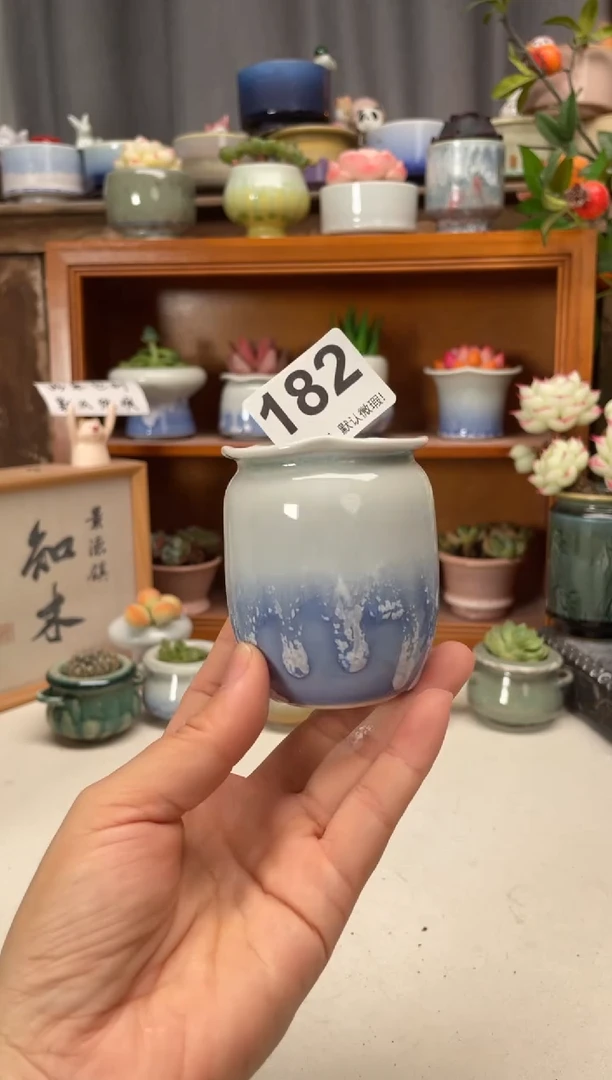 瓷片182知木小芳花盆编号