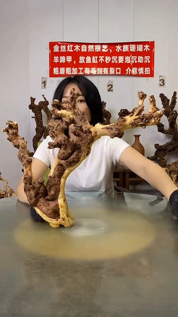 香榧木#****#金丝红木   羊蹄甲