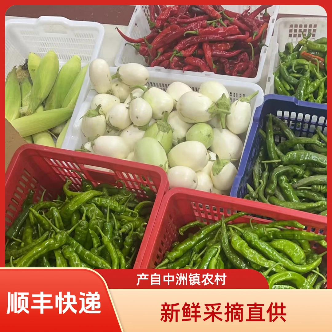 【助农】中洲镇农村新鲜蔬菜