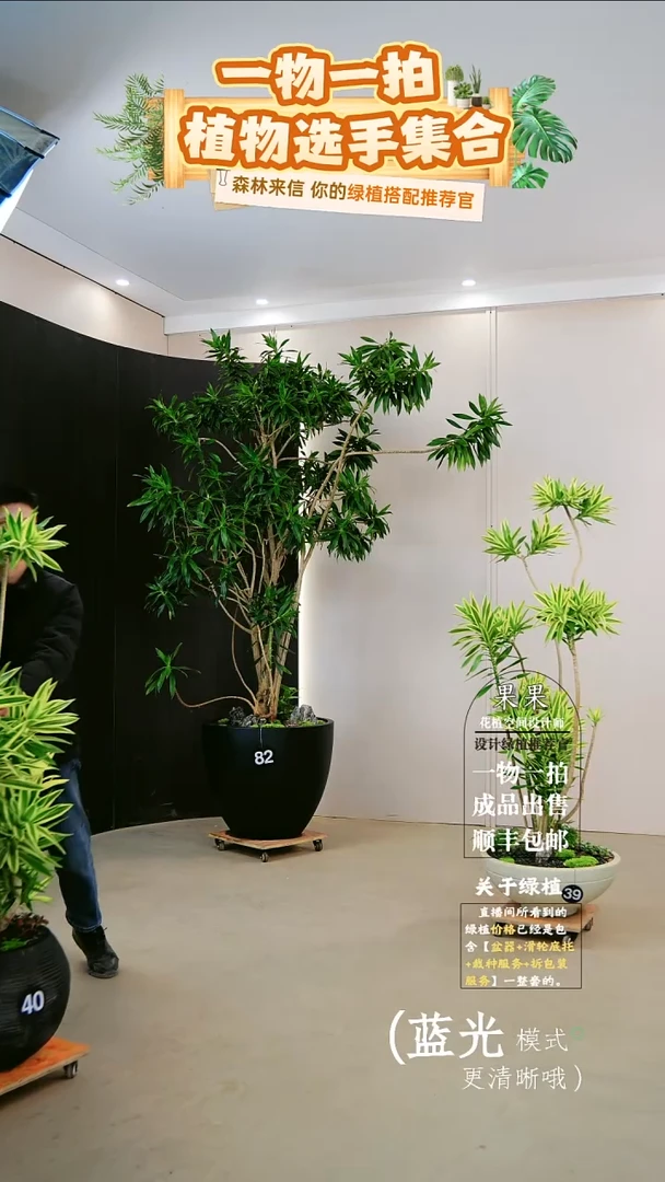 无花朵-***?大百合竹落地款成品一整套