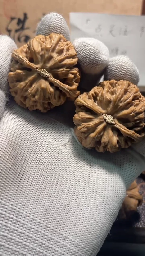 吊坠文玩核桃8号——粗筋（卡43/43）