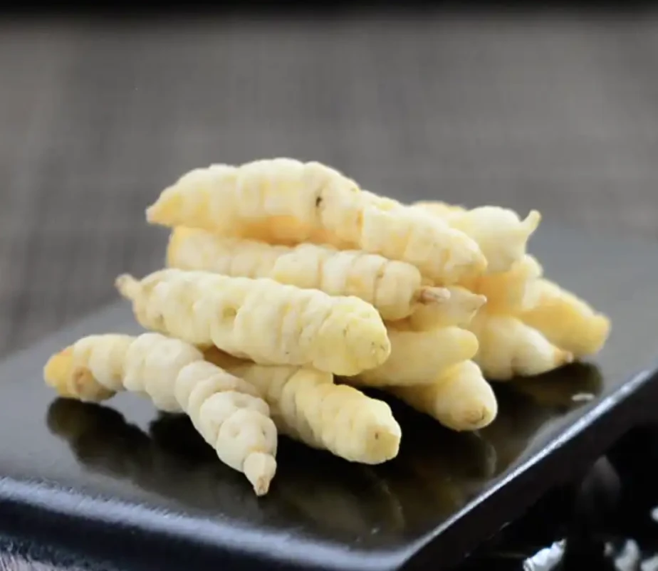 甄选高海拔严选品质【白虫草】小海专属   非薏米