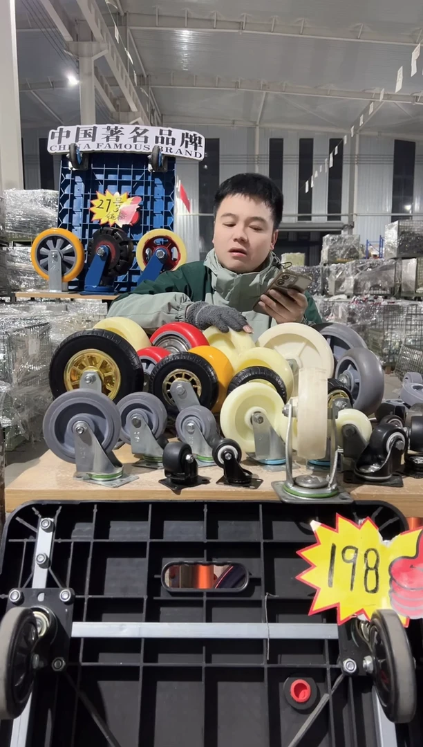 美丽专属  2寸低重心双轴承 2定4万