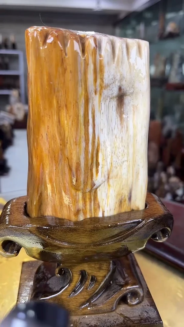 缅甸天然硅化玉摆件