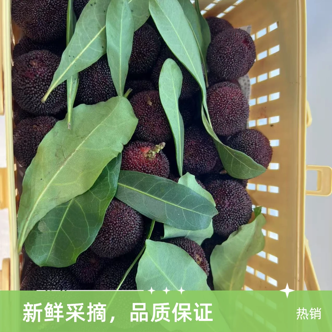 仙居杨梅约500g