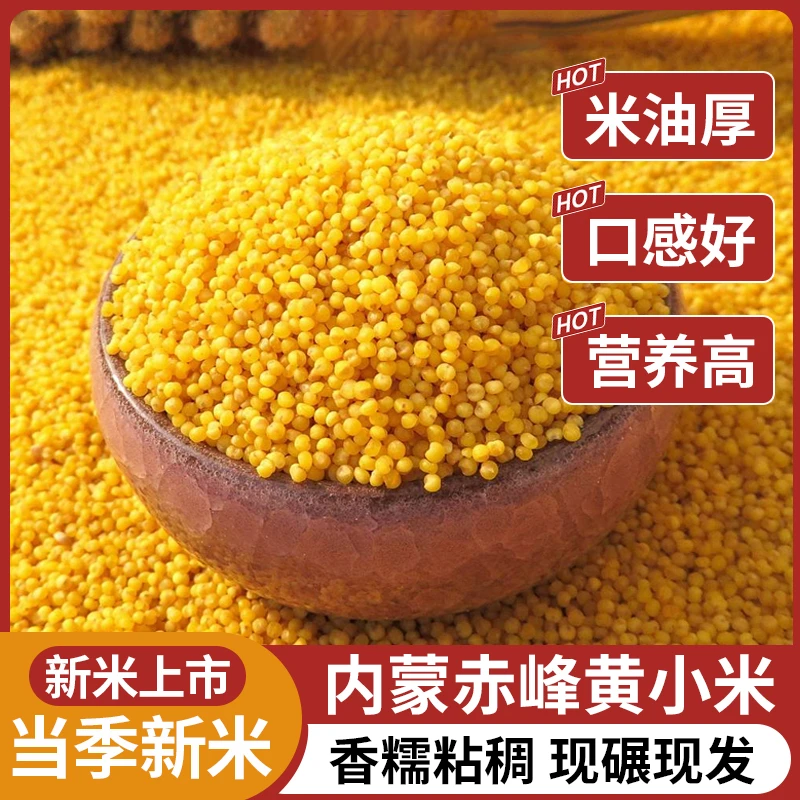 内蒙赤峰小米杂粮石碾小米粥绿色食品月子米营养农家黄小米新米