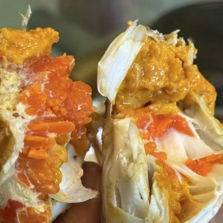 【不能放冰箱】码头价吃红膏蟹 螃蟹包活到家 包有膏 包肥 2-3两/只