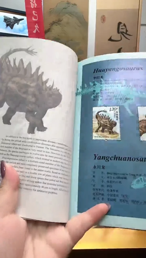 中国恐龙 信泰评级