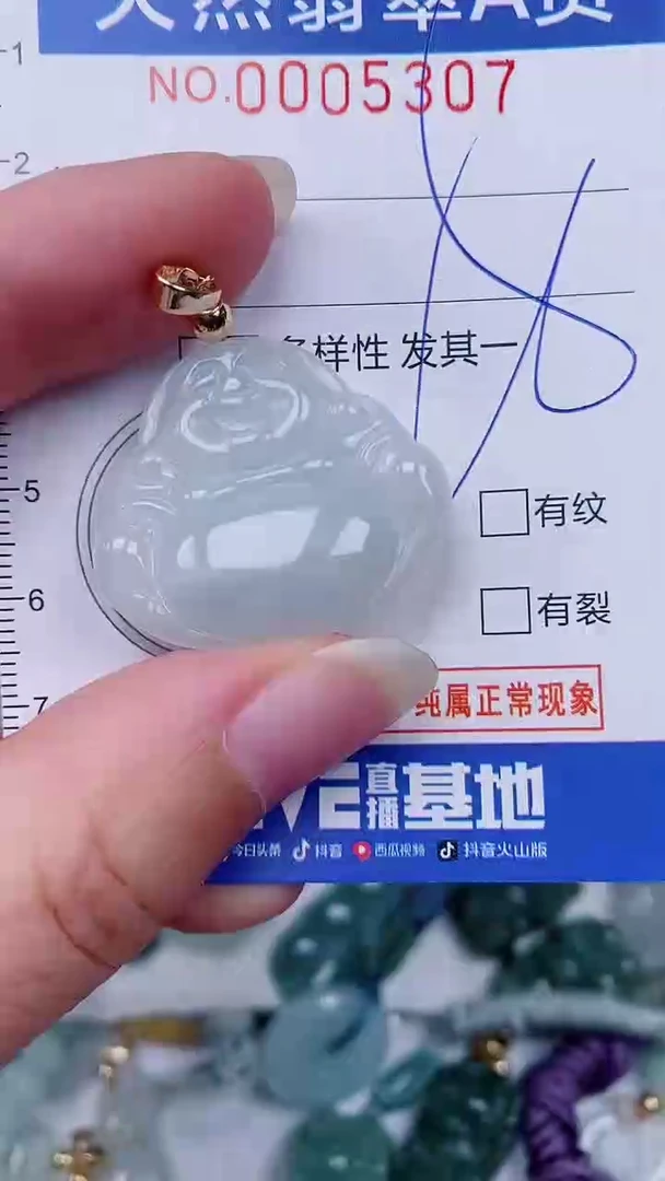 翡翠未镶嵌颈饰00005307