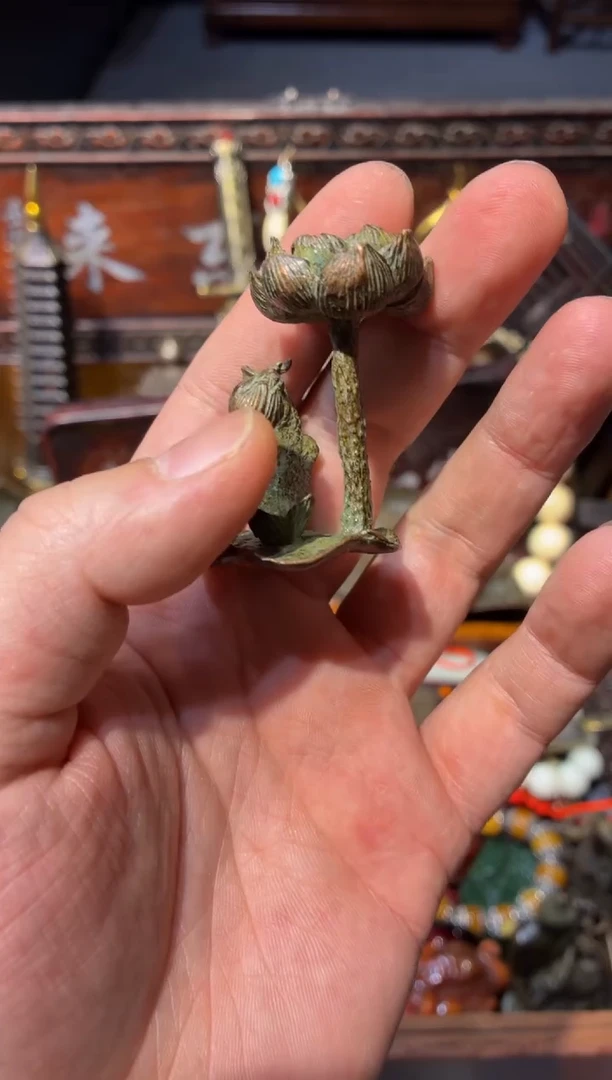 慧心甄选直播推荐
