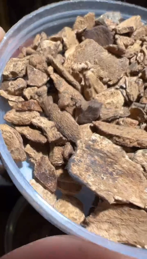 沉香沉香碎屑斯里兰卡10克