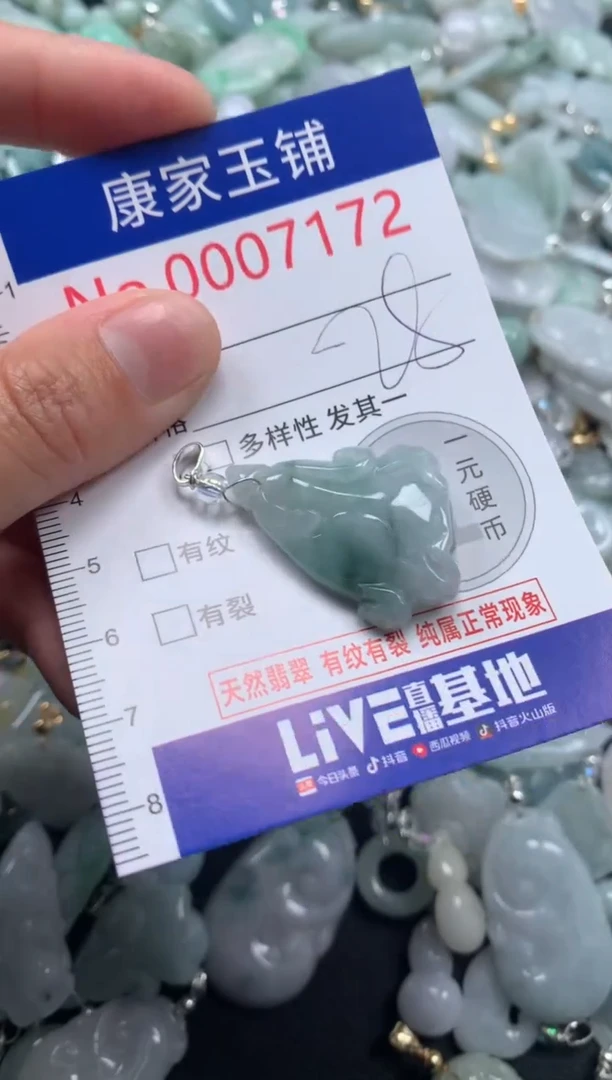 颈饰未镶嵌翡翠7172