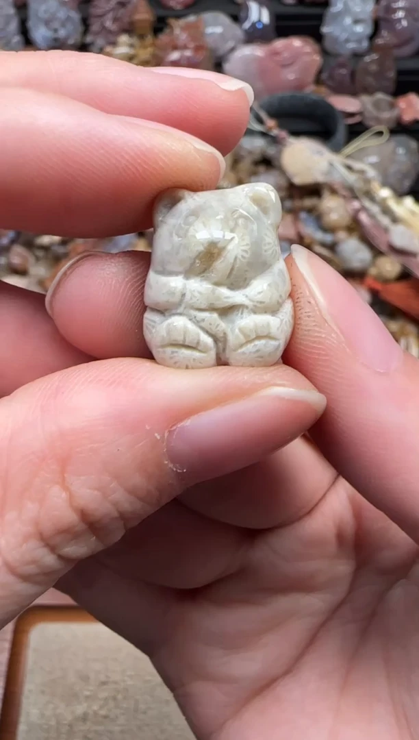 颈饰未镶嵌硅化珊瑚（珊瑚玉）530