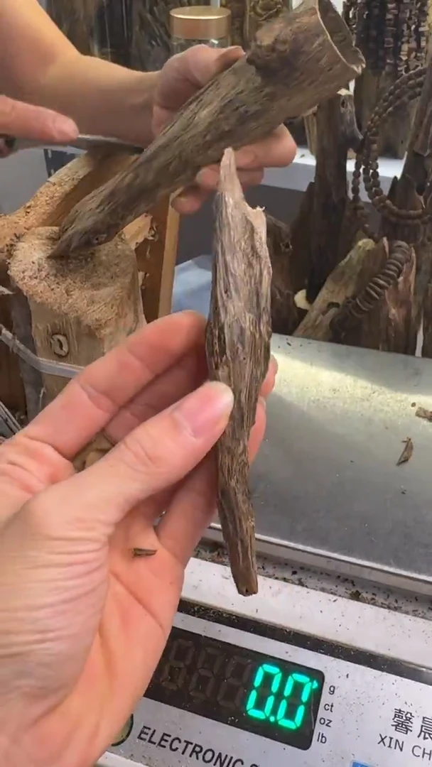 沉香碎屑沉香树心油虫漏10.9