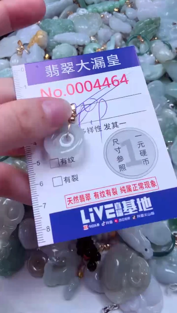 吊坠(不含链)未镶嵌翡翠4464