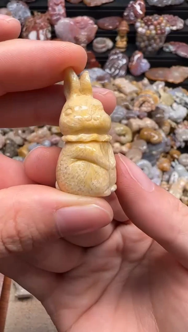 【闪购商品】硅化珊瑚（珊瑚玉）颈饰未镶嵌592