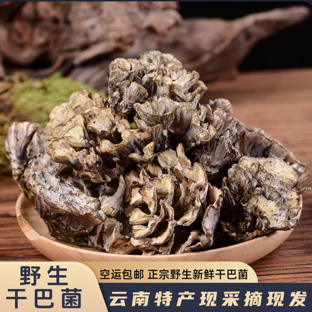 【老关甄选】野生新鲜干巴菌云南特产炖汤炒菜火锅食材美味蘑菇山珍