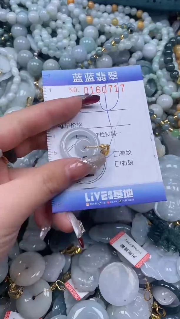 【闪购商品】翡翠颈饰未镶嵌闪购0160717