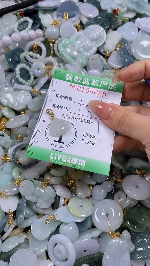 【闪购商品】翡翠颈饰未镶嵌闪购0108068