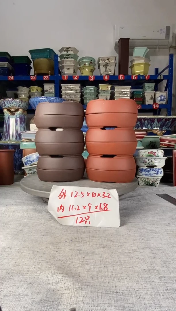 252704十二只椭圆
