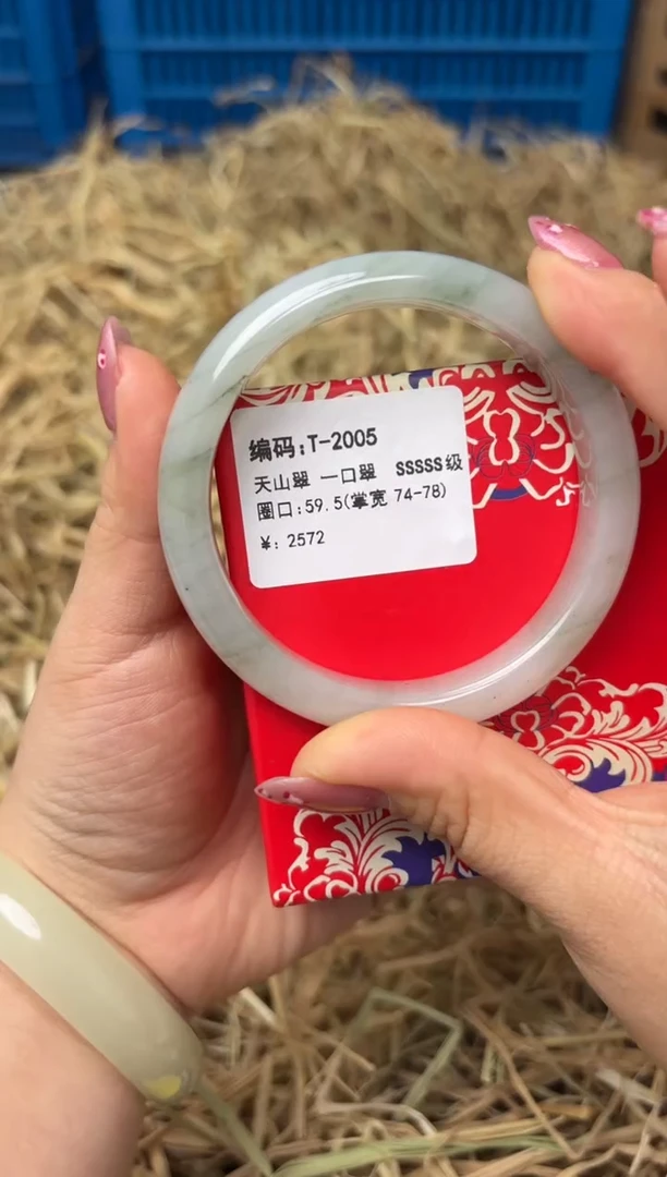 未镶嵌手镯石英质玉T-2005