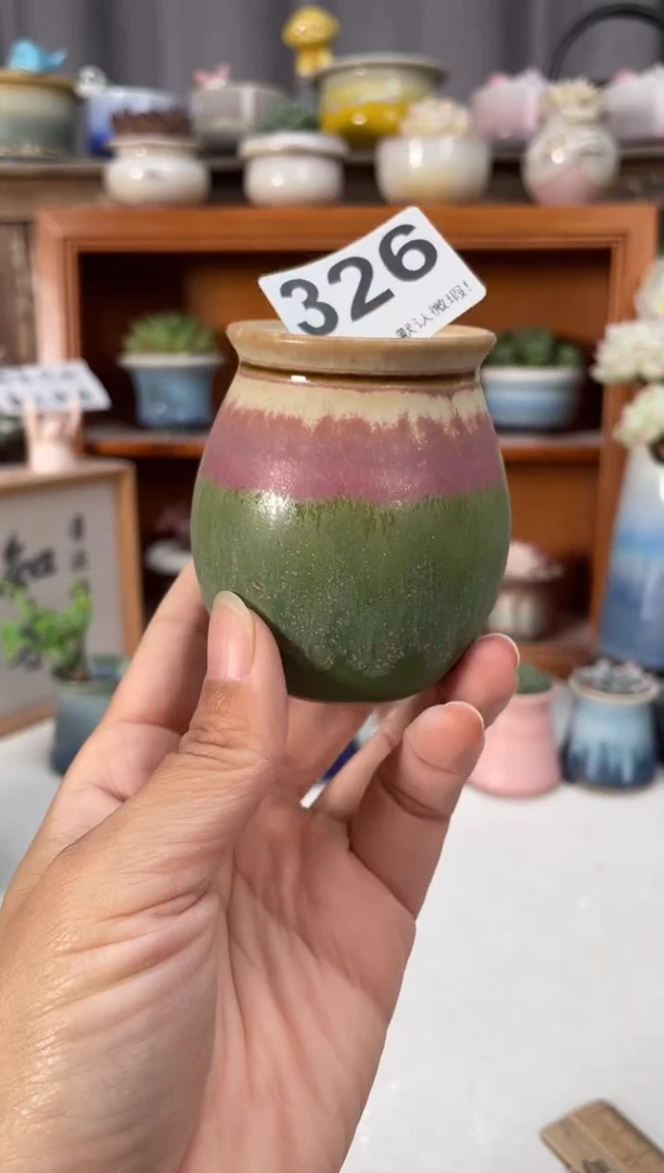 瓷片326小芳直播编号