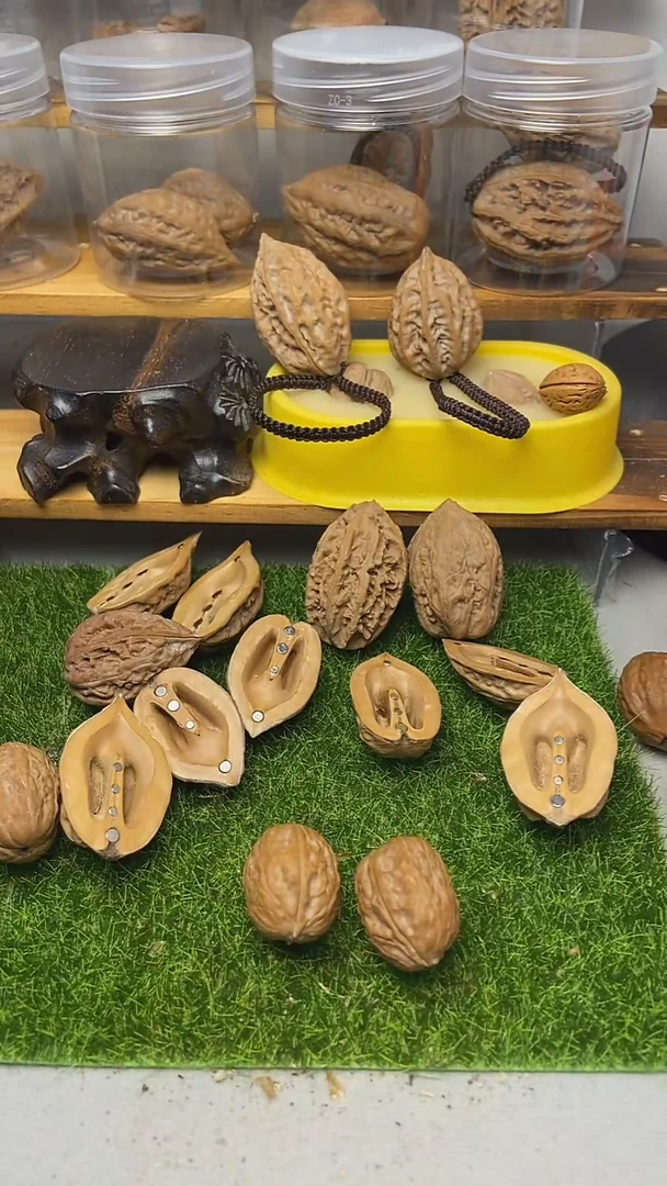 把件文玩核桃末**狂楸子