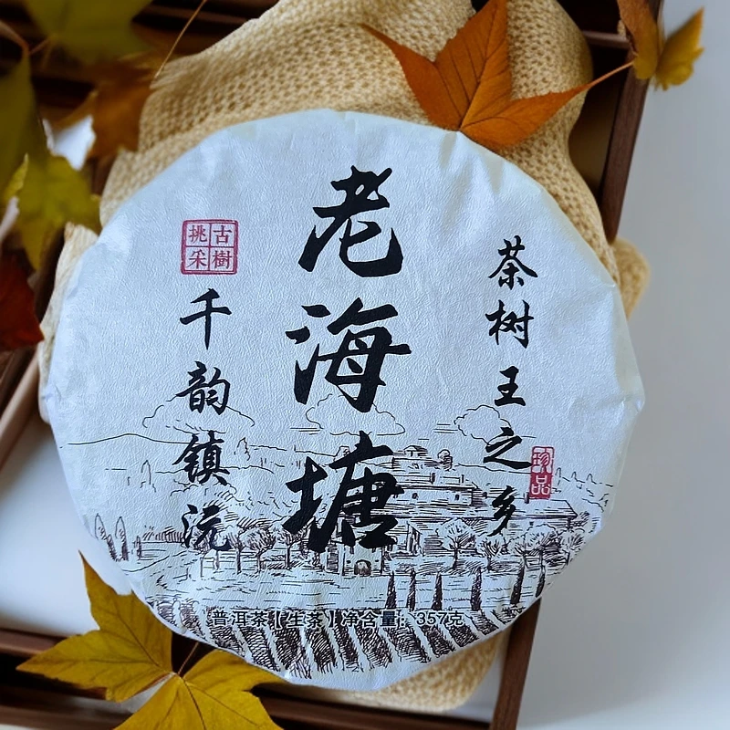 2023年老海塘千韵镇沅茶树王之乡古树挑采普洱生茶饼357克C53号