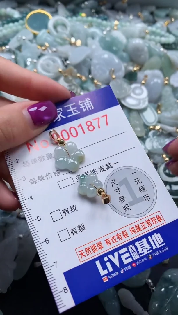 颈饰未镶嵌翡翠1877