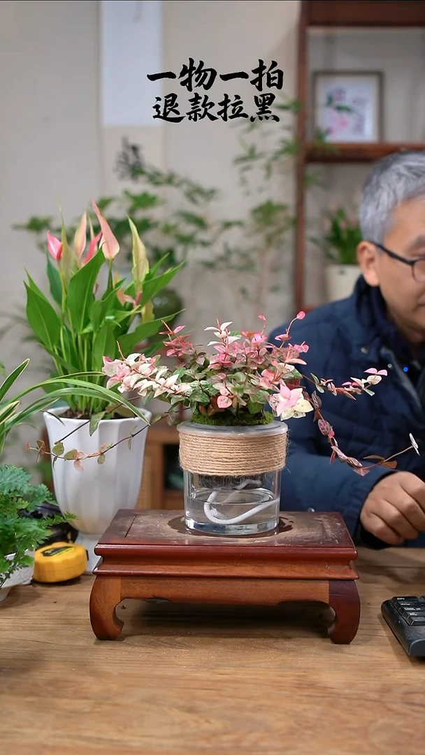 完全开放@**?花叶095