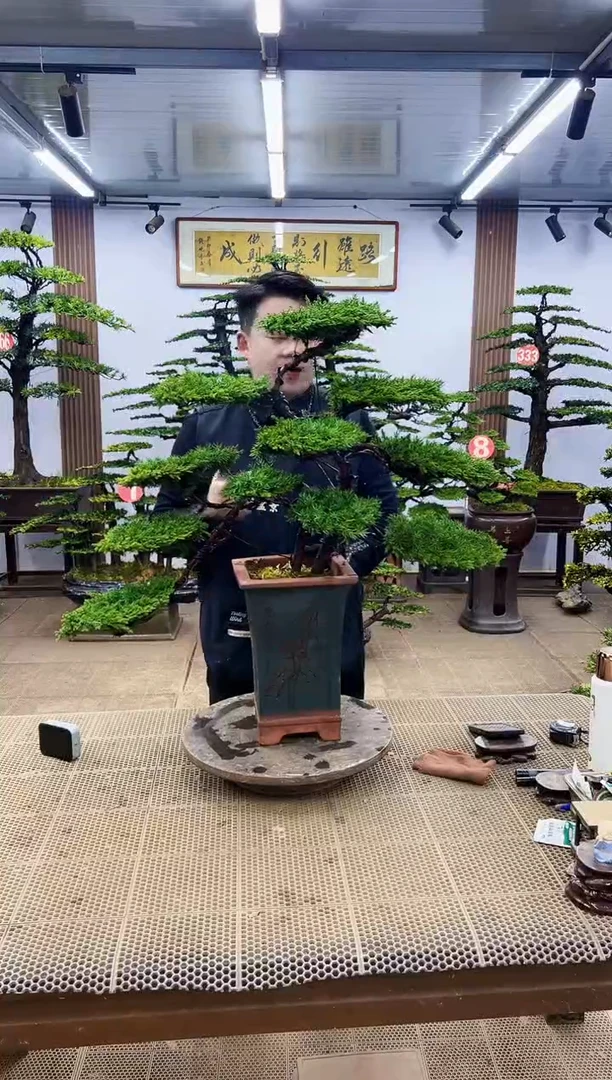 【闪购商品】00000000