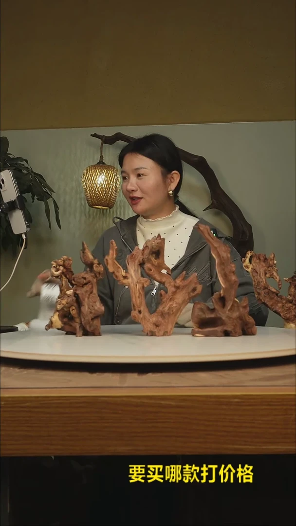 木感*根雕摆件类787*3