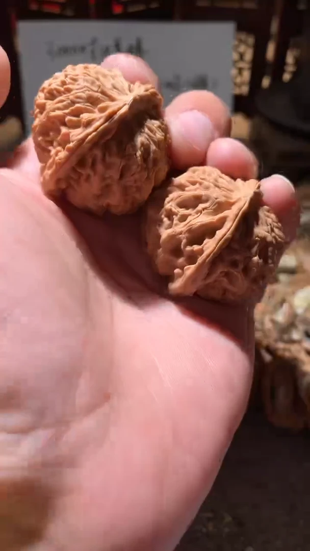 文玩核桃把件【核缘雅趣】38左右苹果园，同尺寸随机发