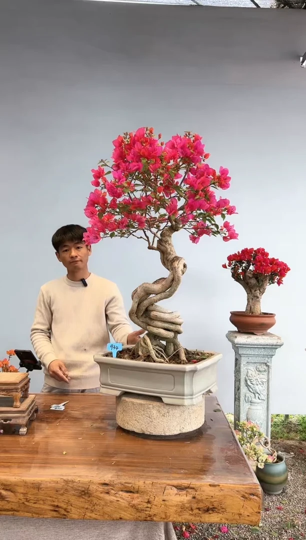 【闪购商品】aa934